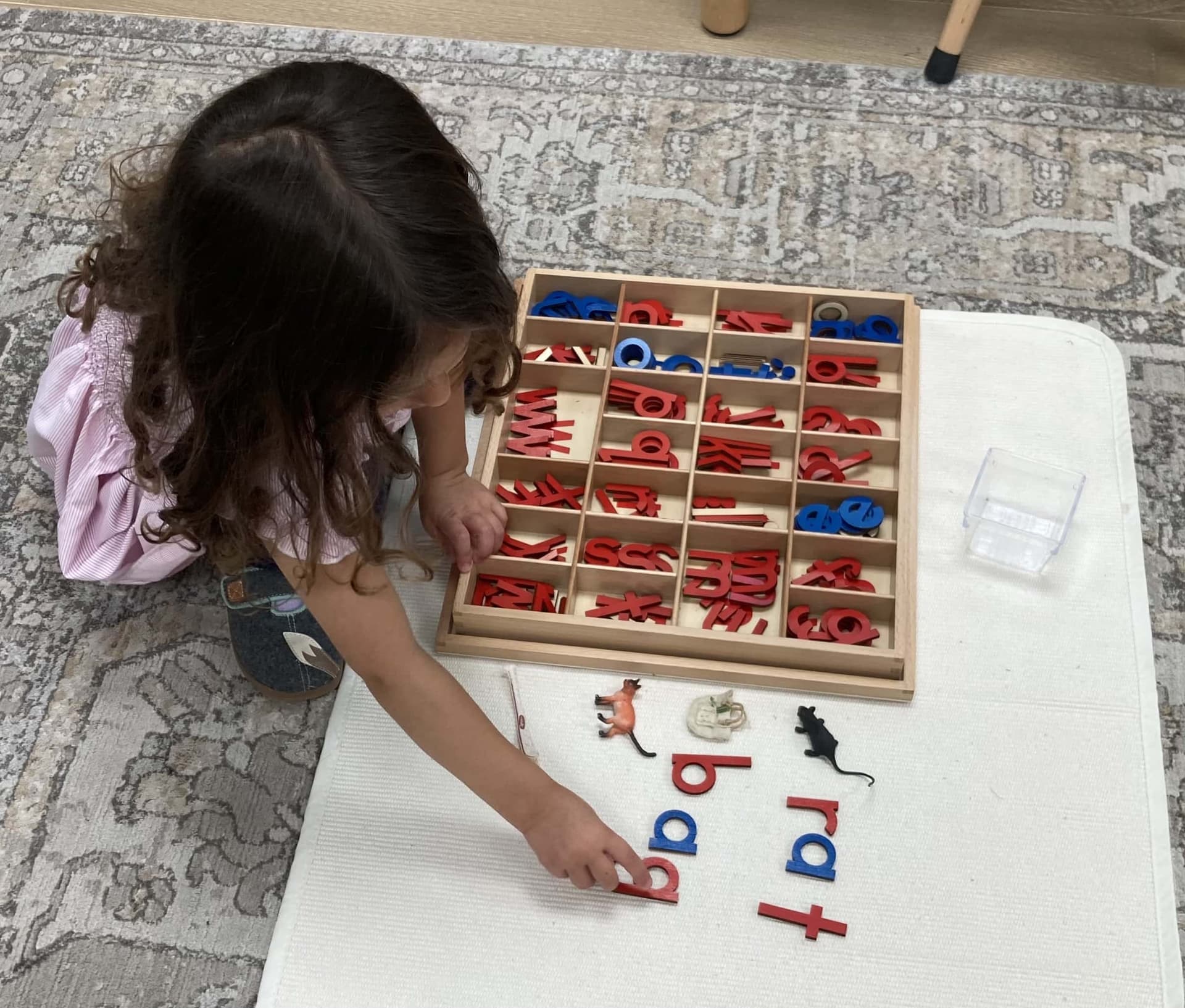 Beacon Montessori School in Weston, MA